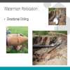 Slide19